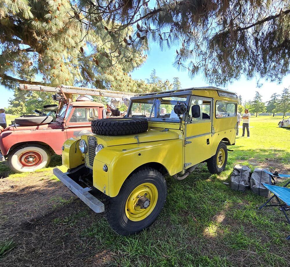 Yellow vintage off-road vehicle parked under a tree on grass.
