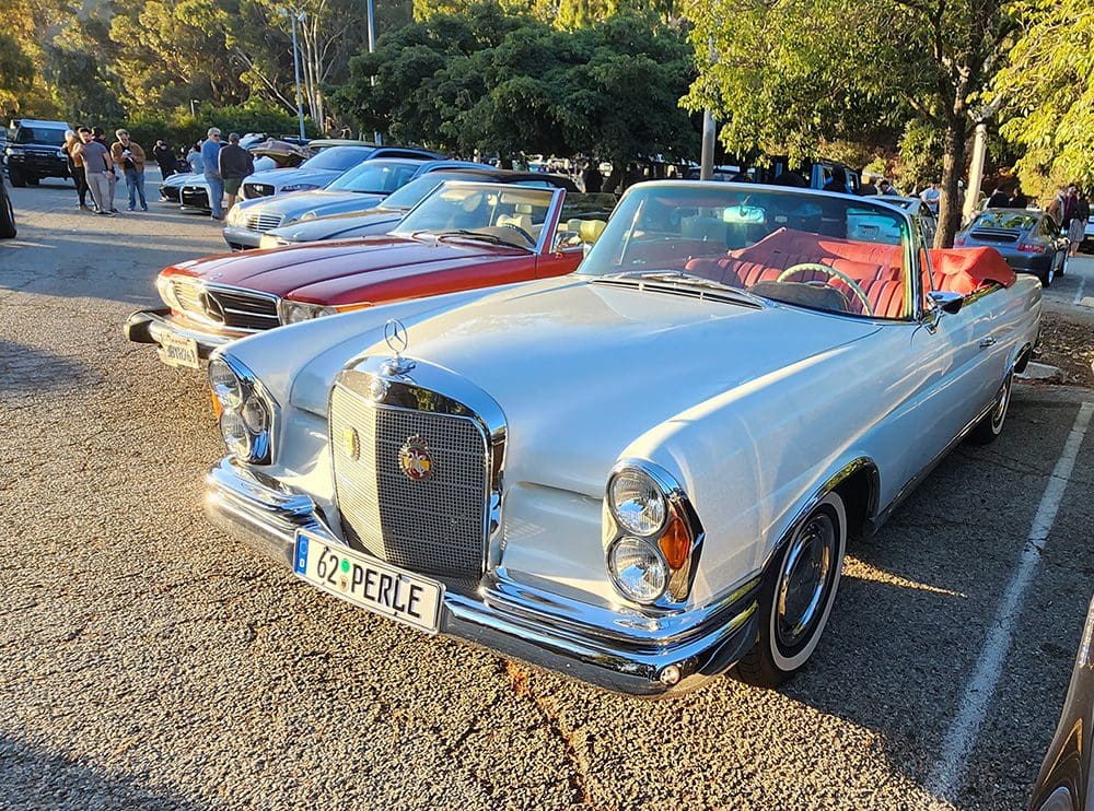 Row of classic Mercedes-Benz cars parked outdoors in sunlight.