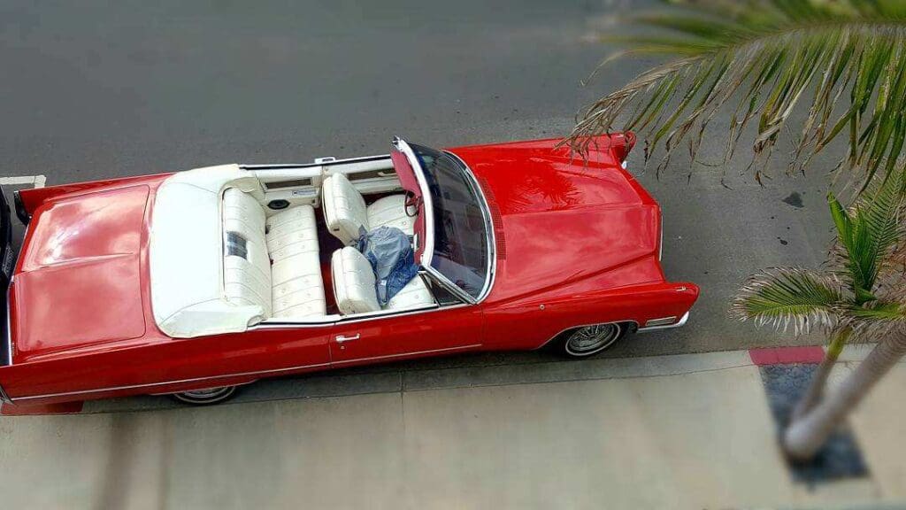Red convertible car parked on a driveway with palm leaves nearby.