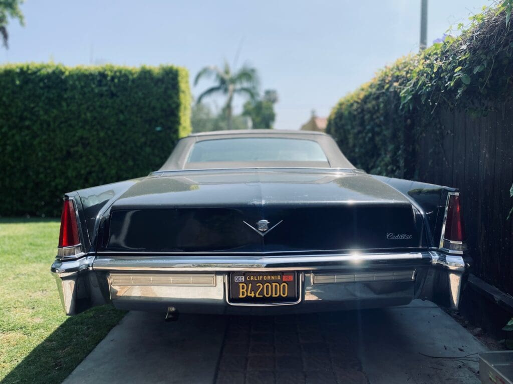 Rear view of a classic black Cadillac parked between two hedges.