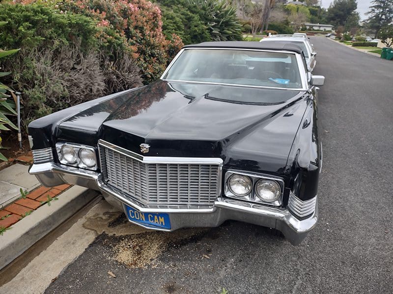 Classic black Cadillac parked on the street near greenery.