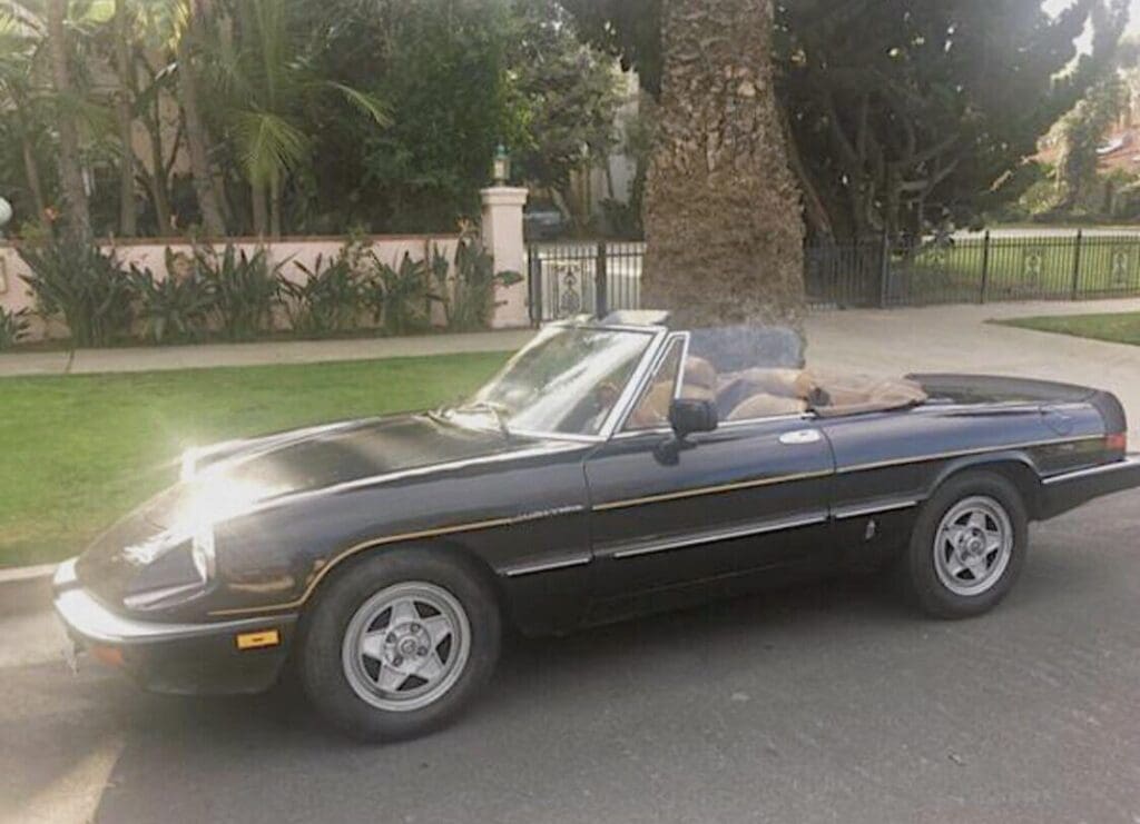 Classic black convertible car parked beside a large palm tree.