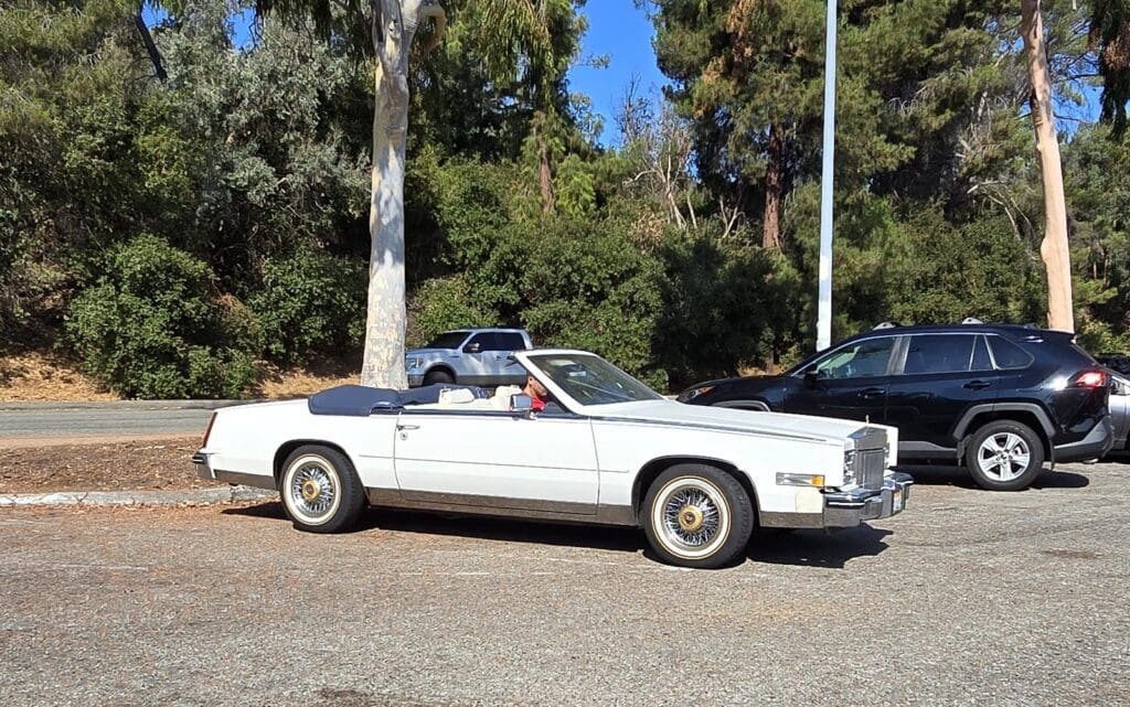 Classic white convertible car parked outdoors on a sunny day.