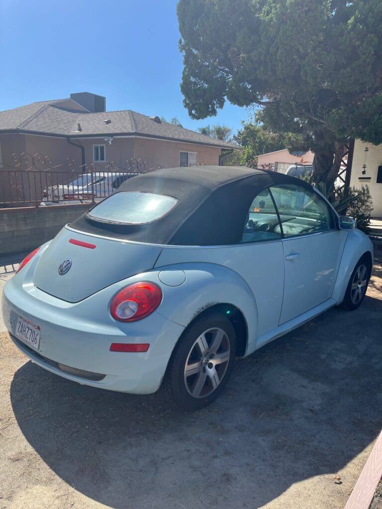 Light blue Volkswagen Beetle parked under a tree in a residential area.
