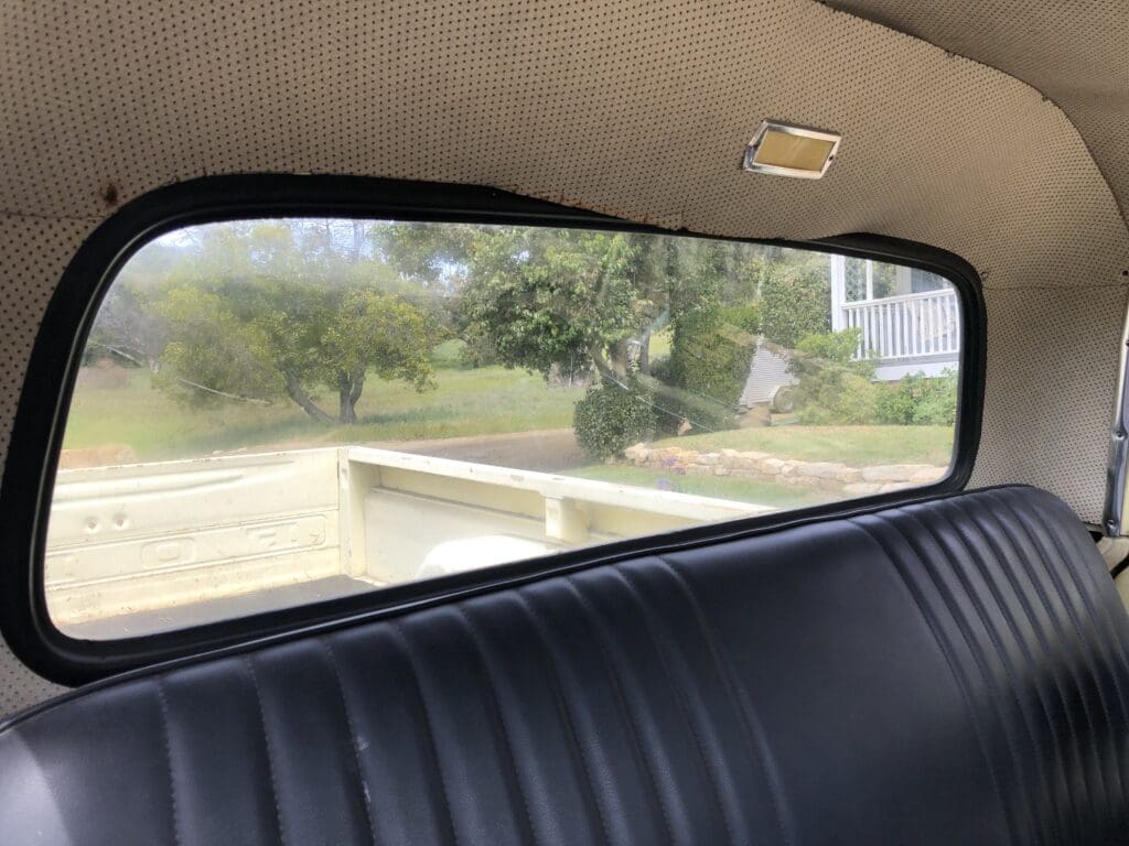 View from inside a car showing the backseat and a park outside.
