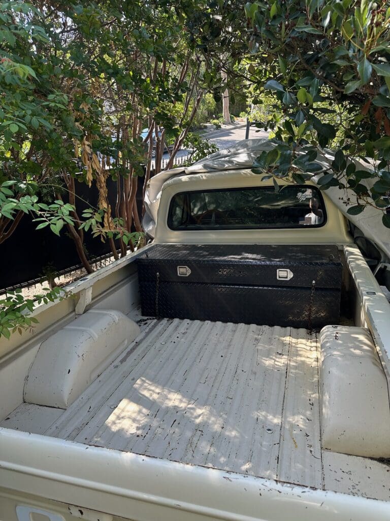 Empty pickup truck bed surrounded by greenery in sunlight.