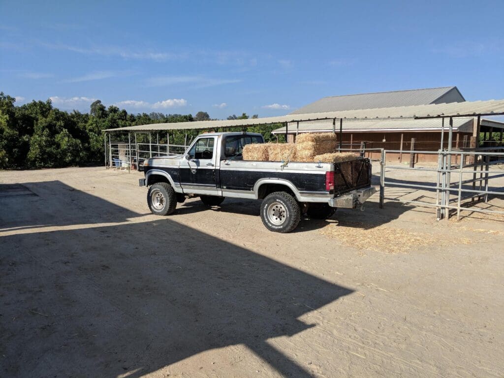 A vintage pickup truck parked outdoors on a sunny day.
