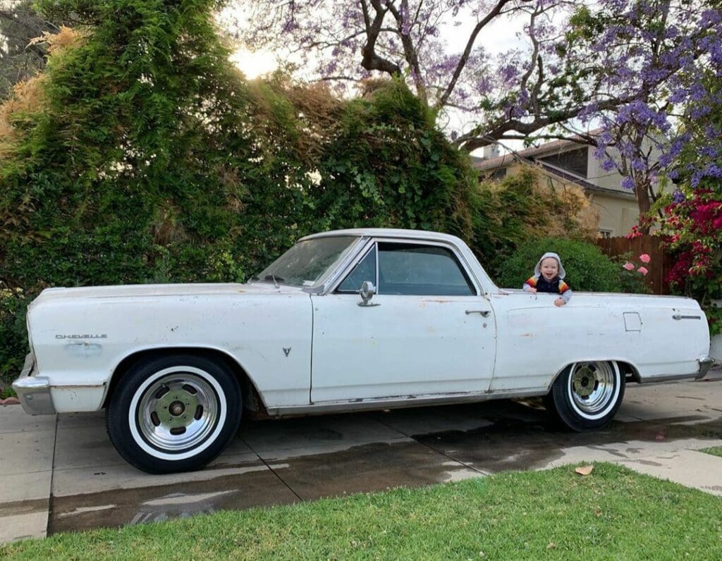 Classic white pickup truck parked on a street with greenery around.