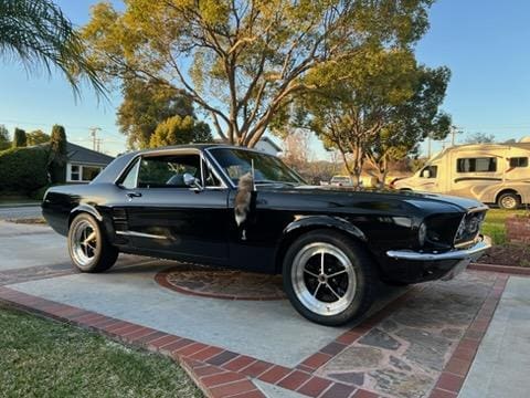Classic black muscle car parked on a driveway under a tree.