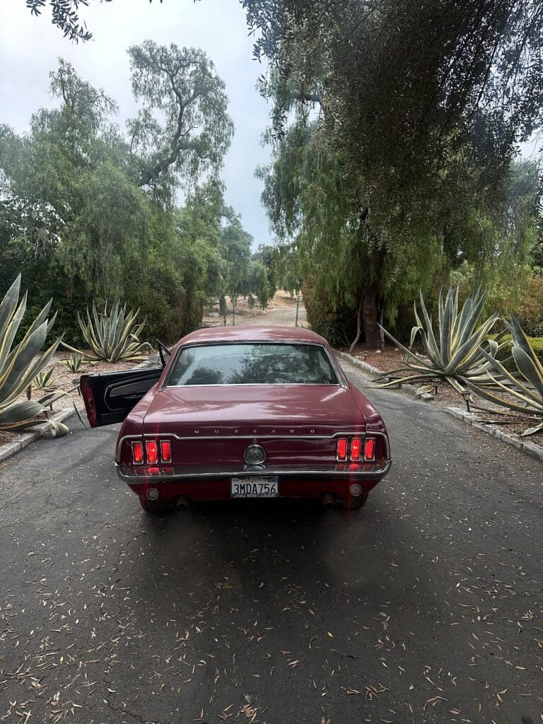Red classic car parked on a tree-lined driveway.