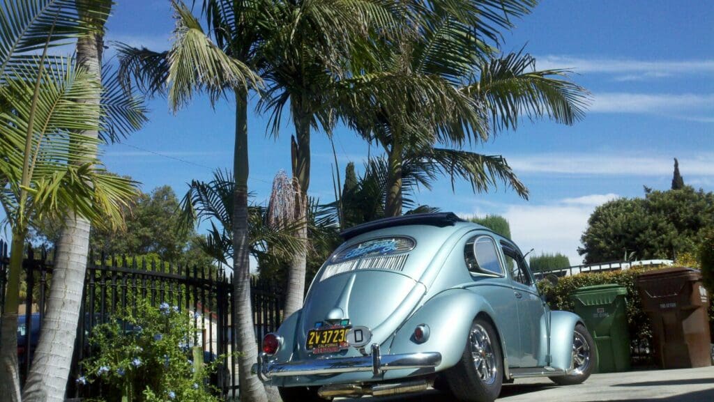 Classic silver Volkswagen Beetle parked under palm trees on a sunny day.