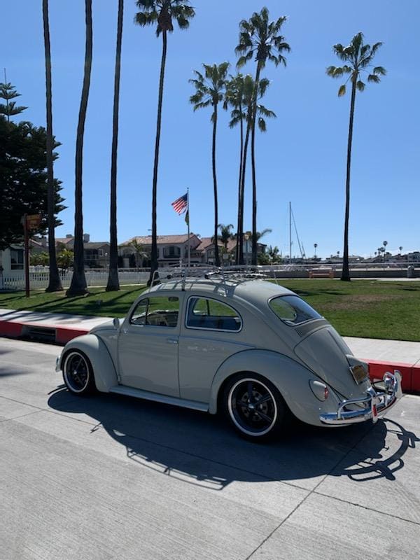 Classic white Volkswagen Beetle parked under tall palm trees on a sunny day.