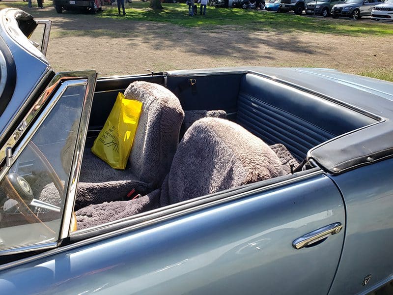 Two sheep sitting in the backseat of a convertible car.