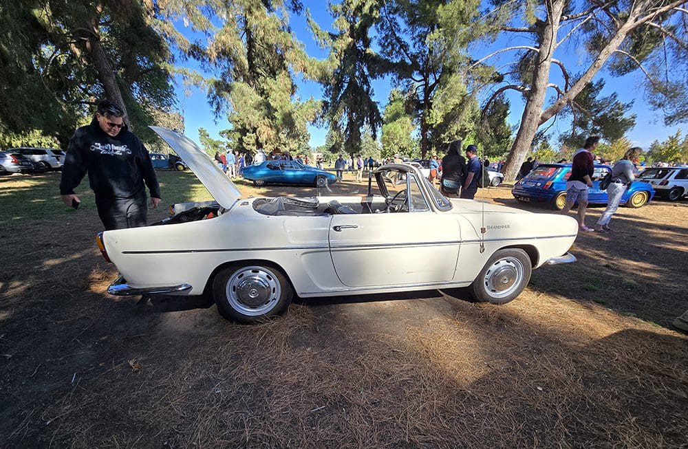 Classic white convertible car parked under trees with surfboards on top.