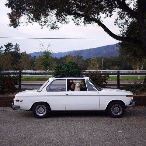 Classic white car parked with scenic mountain view in the background.