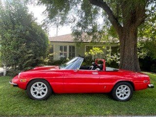 Red convertible sports car parked on grass under a large tree.