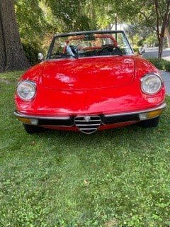 Red classic convertible Alfa Romeo parked on grass.